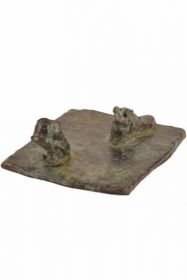 Socle
